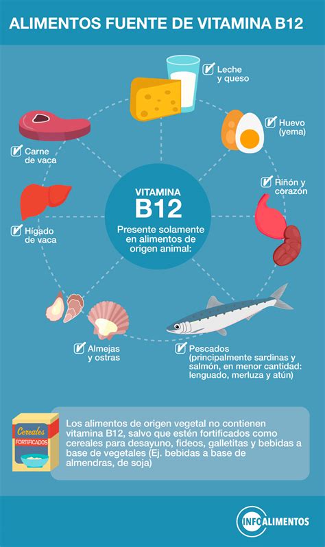 Diagrama que ilustra la importancia de la vitamina B12, vitamina D y yodo en la dieta de bebés veganos.