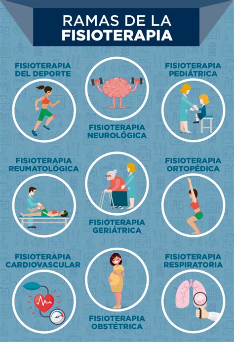 infografía con las principales especialidades de la fisioterapia