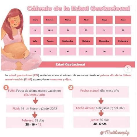 Diagrama que ilustra la estimación de la edad gestacional mediante la palpación del útero en diferentes semanas.