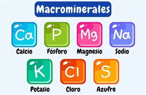 Infografía comparativa de macrominerales y microminerales en la nutrición animal.