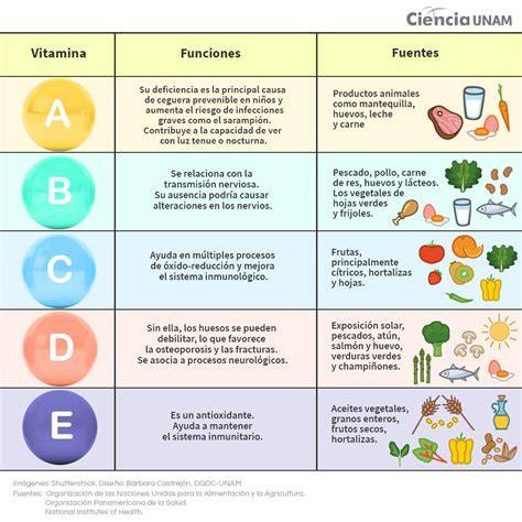 Diagrama detallando los beneficios de cada vitamina y mineral presente en los bloques.