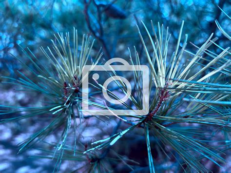 Fotografía de archivo de matronas en una consulta durante la posguerra.