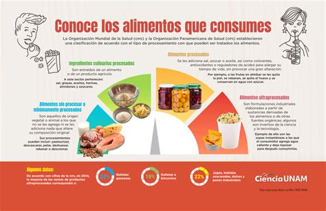 infografía sobre los tipos de alimentos que favorecen el tránsito intestinal en bebés