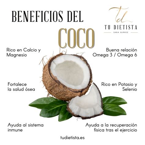 Infografía mostrando la composición del aceite de coco y sus propiedades antimicrobianas.