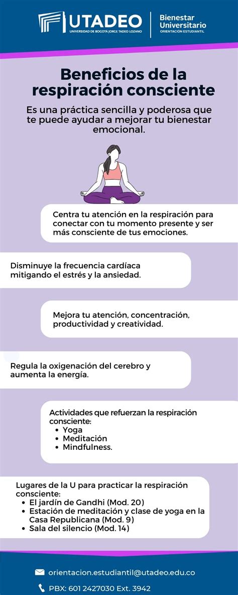 Infografía que resume los principales beneficios de la respiración ovárica, con iconos representativos para cada punto.