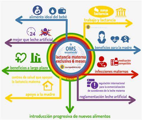 Esquema de las recomendaciones de lactancia materna a nivel mundial