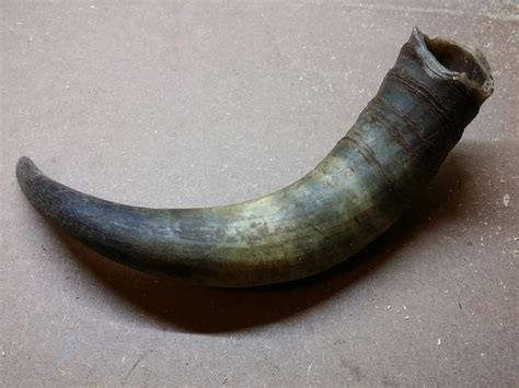 Fotografía de un cuerno de vaca con un pezón de cuero que servía de mamadera.