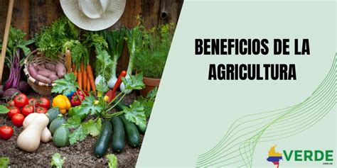 Esquema: Comparativa entre fertilizantes orgánicos y minerales y sus beneficios en la agricultura
