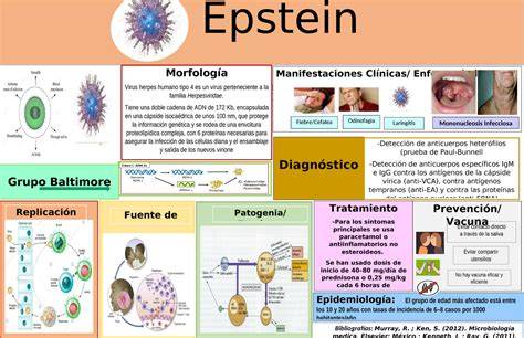 Infografía sobre pruebas clínicas y dermatológicas de pañales