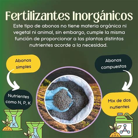 Infografía mostrando los diferentes tipos de fertilizantes (orgánicos e inorgánicos) y sus beneficios.