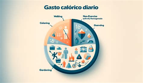 Esquema de los componentes del gasto calórico diario: Metabolismo Basal, Actividad Física y Efecto Térmico de los Alimentos.