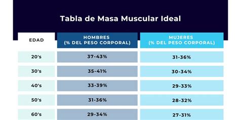 Gráfico mostrando cómo la edad, el sexo y la masa muscular afectan la tasa metabólica basal.