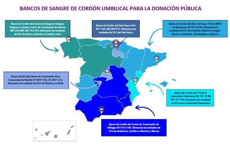 Mapa de España destacando la ubicación del Banco de Sangre de Cordón Umbilical de Andalucía en Málaga.