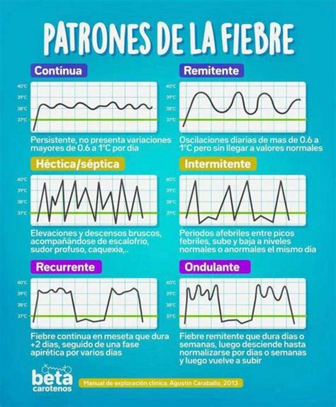 infografía describiendo los diferentes patrones de fiebre