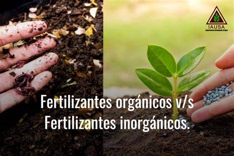 Infografía comparando fertilizantes orgánicos e inorgánicos