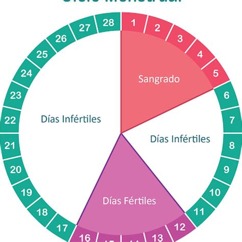 Calendario menstrual y test de embarazo casero.