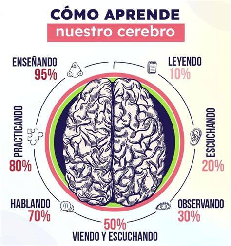 Infografía o esquema visual de cómo el cerebro aprende de los errores
