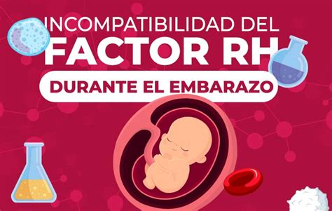 Infografía explicando qué es el factor Rh y su importancia en el embarazo