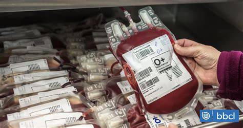 Infografía mostrando el proceso de almacenamiento de unidades de sangre de cordón umbilical en bancos