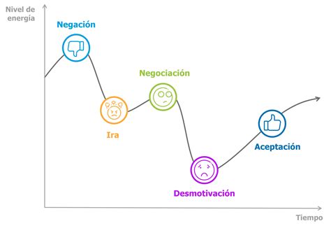 Esquema de las etapas de aceptación de la incontinencia en adultos.