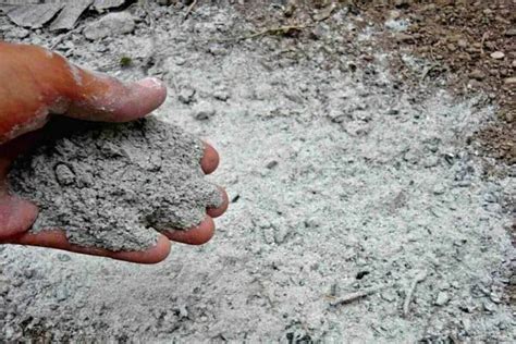 Foto del fertilizante Ceniza de Palmera de Guanokalong