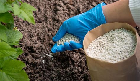 Diagrama de dosificación de fertilizante para plantas