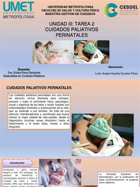 Esquema de regionalización de cuidados perinatales