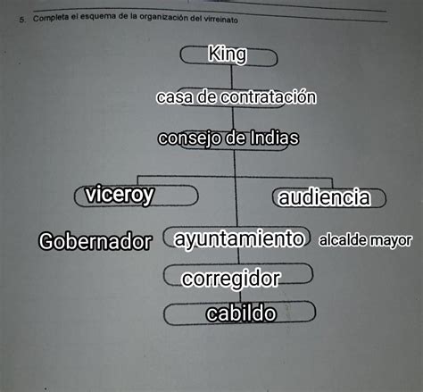 Esquema de la organización de listados por especialidad y género para la selección de tribunales docentes