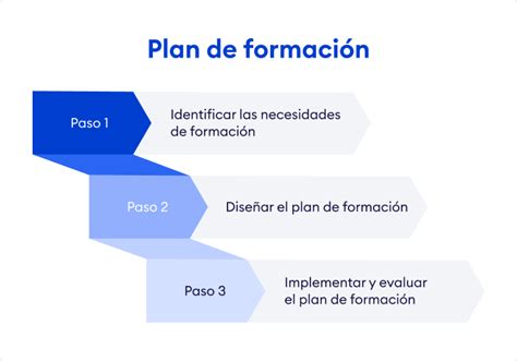 Esquema de las etapas de formación y especialización de una matrona