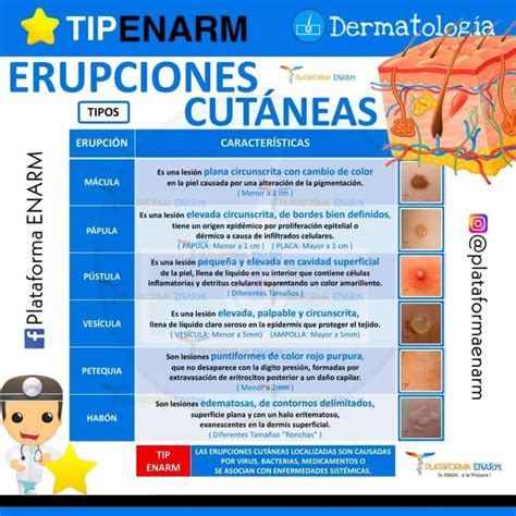 Infografía comparativa de diferentes tipos de erupciones cutáneas pediátricas.