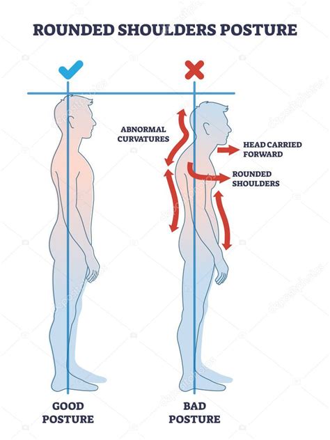 Infografía mostrando cómo funcionan los hombros con solapa (envelope shoulders) en un body de bebé