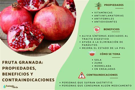 Infografía sobre la composición nutricional de la cáscara de granada