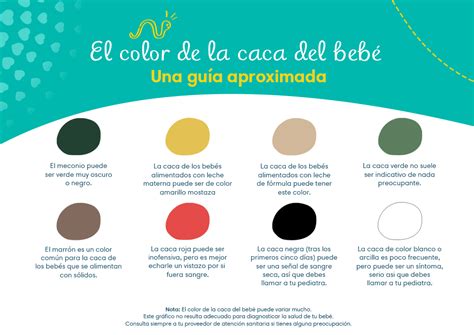Infografía: Ciclo de cambio de color de las heces de un recién nacido desde meconio hasta heces de leche materna/fórmula