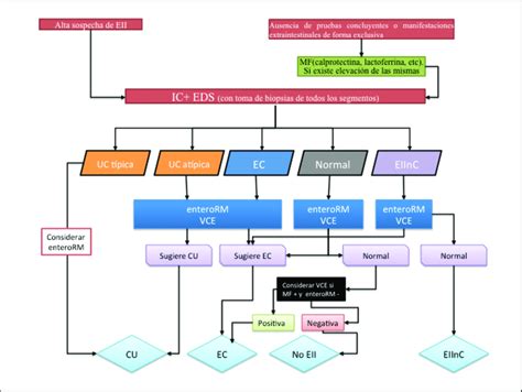 Esquema de las manifestaciones extradigestivas asociadas a la EII pediátrica