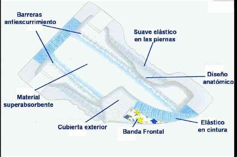 Ilustración mostrando las diferentes partes de un pañal: núcleo absorbente, barreras anti-fugas, indicador de humedad y cinturón elástico.