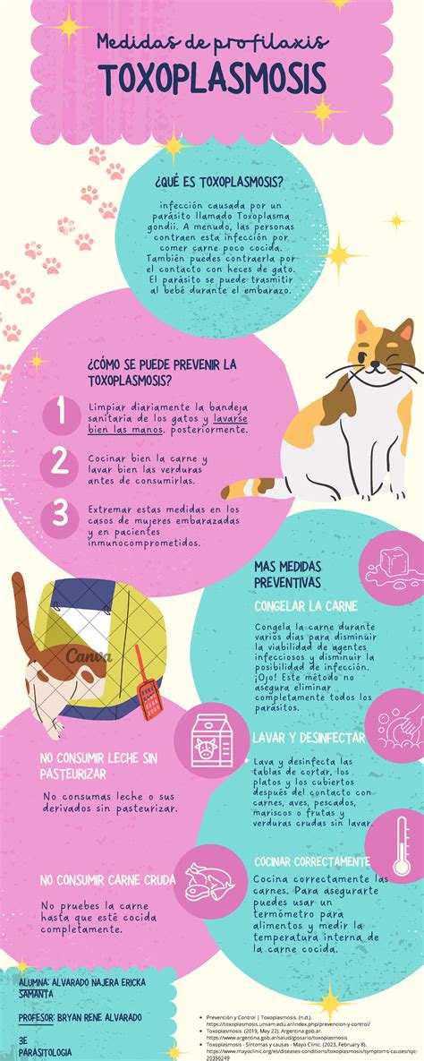 Infografía sobre la toxoplasmosis: causas, síntomas y prevención