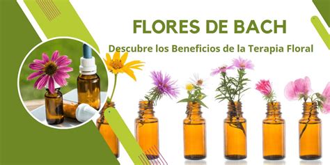 Esencias florales de Bach en frascos, con flores frescas en un laboratorio natural