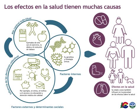 Infografía detallando los 4 efectos de Green Sensation