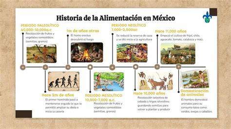 Infografía sobre la evolución de los métodos de alimentación infantil