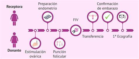 Esquema visual del proceso de ovodonación desde la donante hasta la receptora