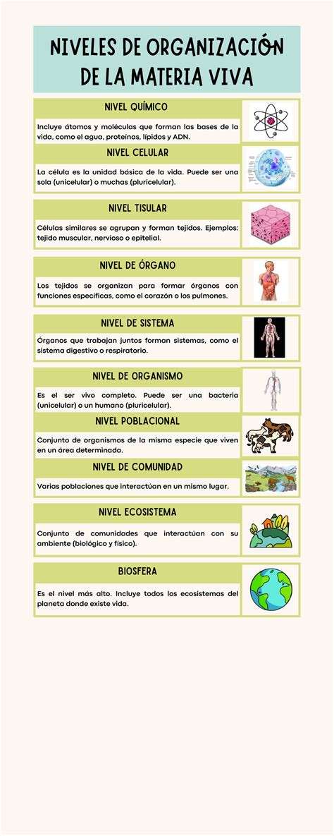 tabla o infografía con los niveles de tetina de Dr. Brown's y las edades o signos de desarrollo recomendados