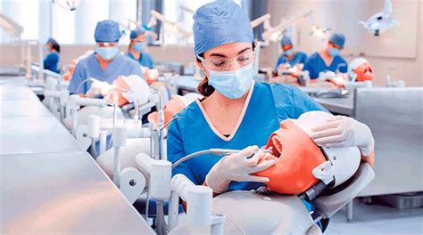 Esquema de la duración de la carrera de Odontología