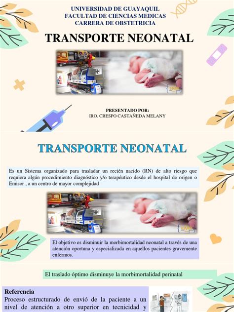 Esquema de un Vehículo de Transporte Neonatal con sus equipamientos internos