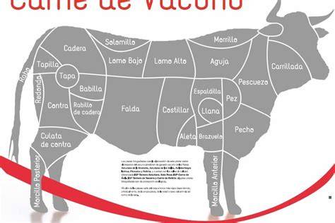 Esquema anatómico indicando la ubicación del redondo en la pierna trasera del vacuno