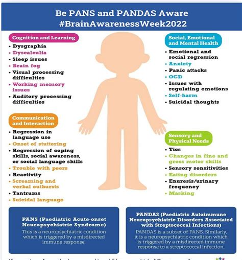 Infografía comparativa de PANS y PANDAS: causas, síntomas y criterios diagnósticos
