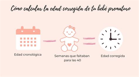 Infografía explicativa del cálculo de la edad corregida de un bebé prematuro, mostrando las semanas de gestación esperadas vs. las semanas de gestación al nacer.
