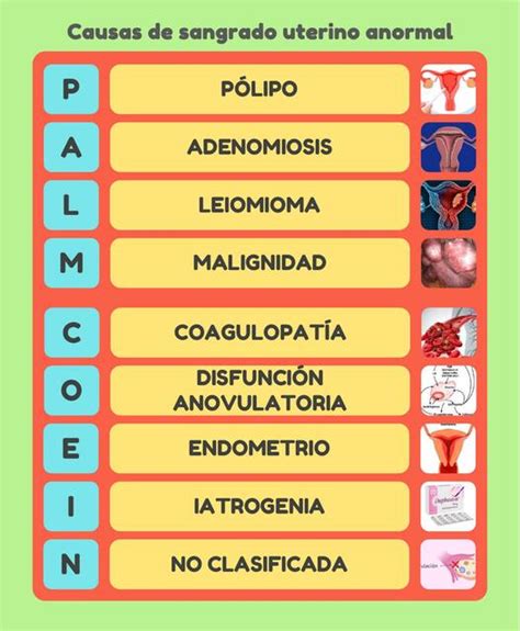 Diagrama de flujo o esquema de la clasificación PALM-COEIN para el sangrado uterino anormal.