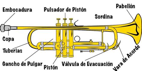 Ilustración de los tiradores de una trompeta y cómo ajustarlos para afinar.