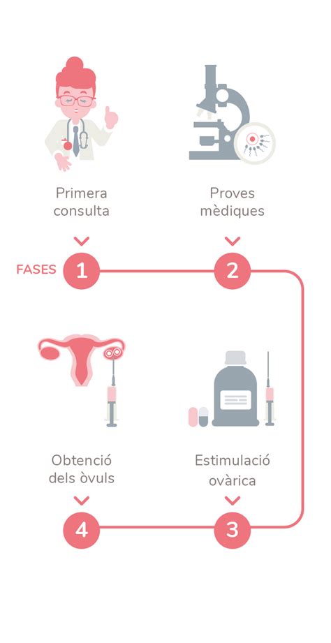 Infografía del proceso de pruebas médicas y psicológicas para donantes de óvulos.