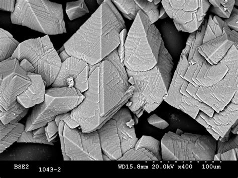 Microscopía de grietas en metal de lata de conserva, mostrando bacterias